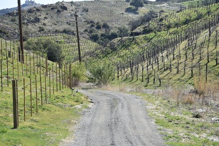Enlarge photo 96