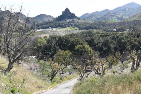 Enlarge photo 102