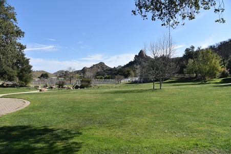 Enlarge photo 108