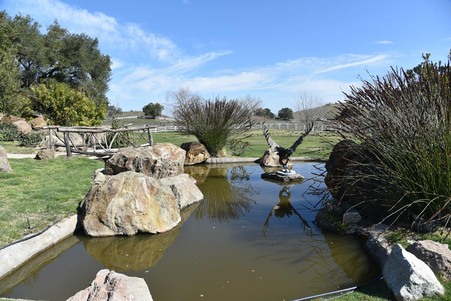 Enlarge photo 111