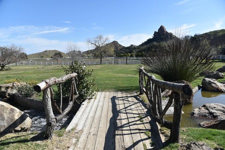 Enlarge photo 112