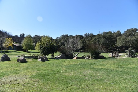 Enlarge photo 113