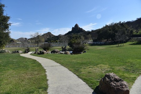 Enlarge photo 116