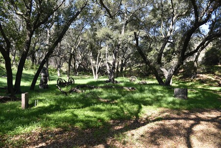 Enlarge photo 118