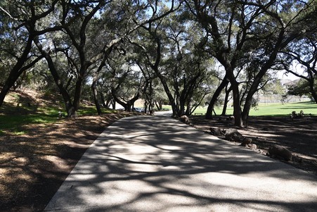 Enlarge photo 119