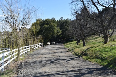 Enlarge photo 122