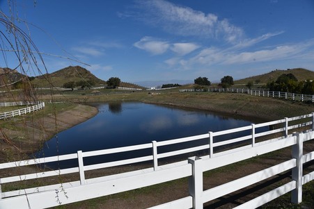 Enlarge photo 123