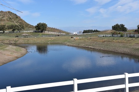 Enlarge photo 124