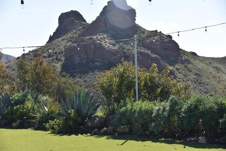Enlarge photo 129