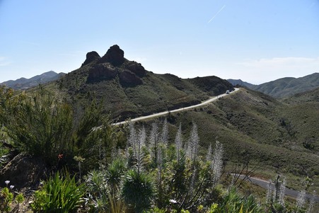 Enlarge photo 130