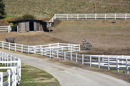 Enlarge photo 148