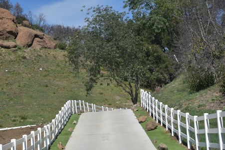 Enlarge photo 152