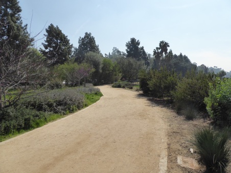 Enlarge photo 19