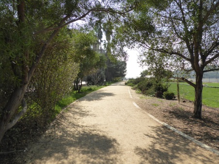 Enlarge photo 20
