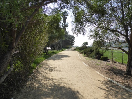 Enlarge photo 23