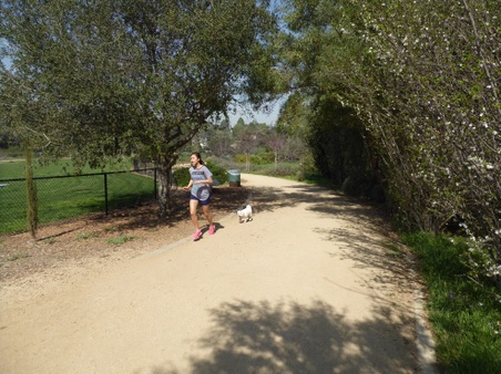 Enlarge photo 24