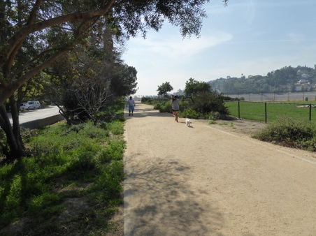 Enlarge photo 26