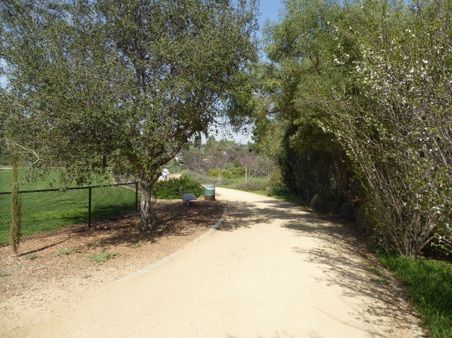 Enlarge photo 30
