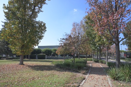 Toyota_Facility