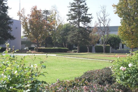 Enlarge photo 18