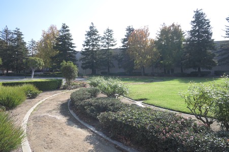 Enlarge photo 19