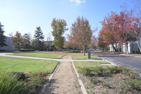Enlarge photo 21