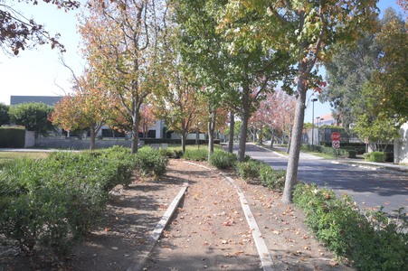 Enlarge photo 23