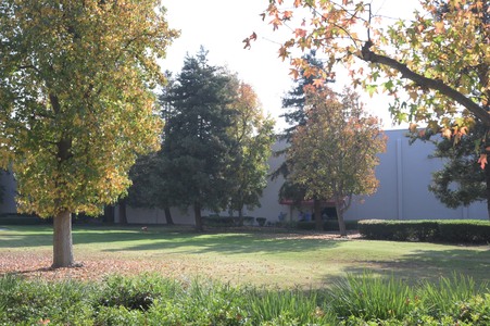 Enlarge photo 24