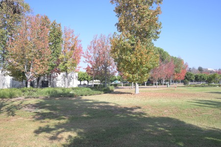 Enlarge photo 27