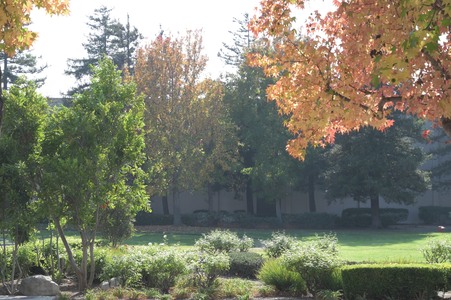 Enlarge photo 28