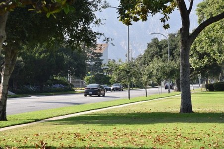 Enlarge photo 13