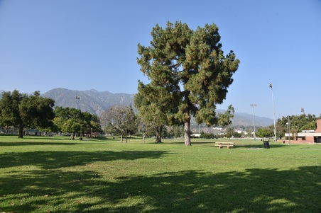 Enlarge photo 14