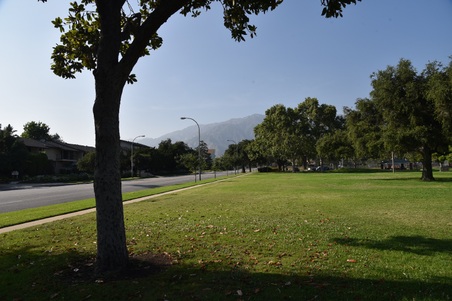 Enlarge photo 16