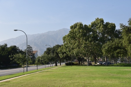 Enlarge photo 17
