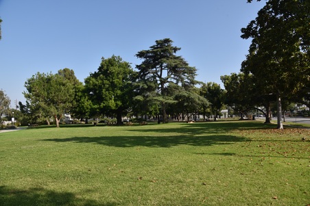 Enlarge photo 19