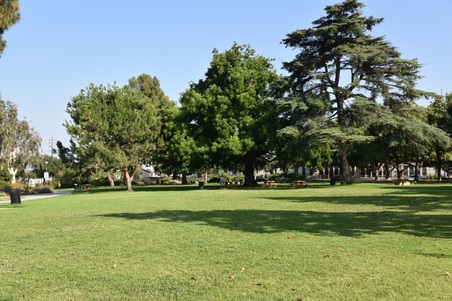Enlarge photo 21