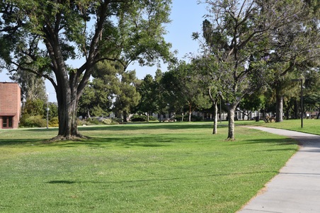 Enlarge photo 31