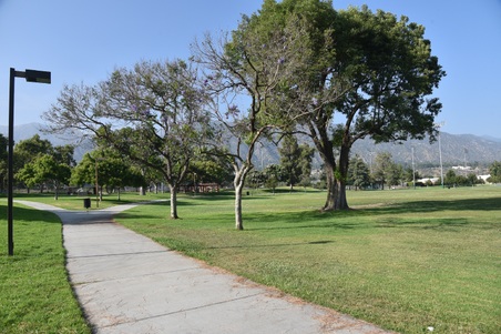 Enlarge photo 32