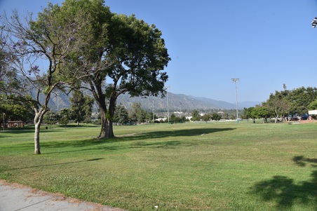 Enlarge photo 33