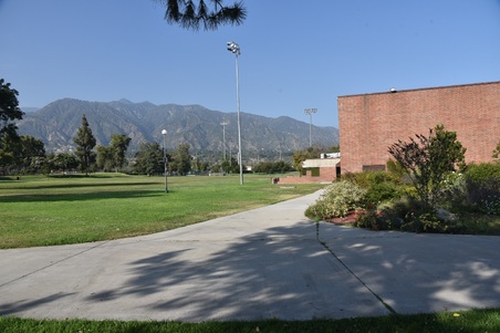 Enlarge photo 35