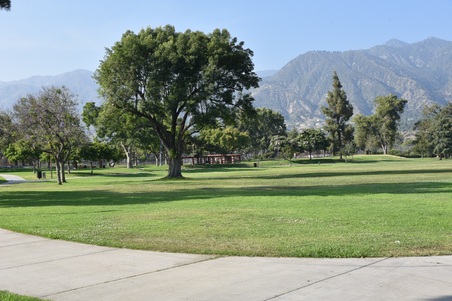Enlarge photo 36