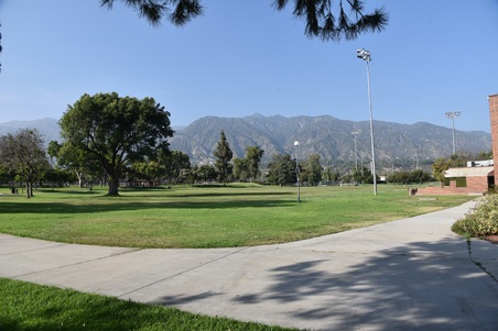 Enlarge photo 40