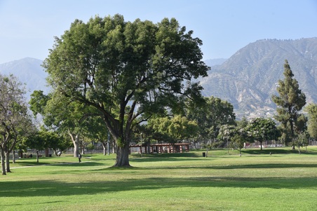 Enlarge photo 39
