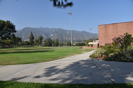 Enlarge photo 41