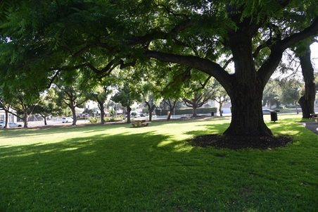 Enlarge photo 42