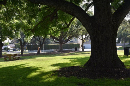 Enlarge photo 43