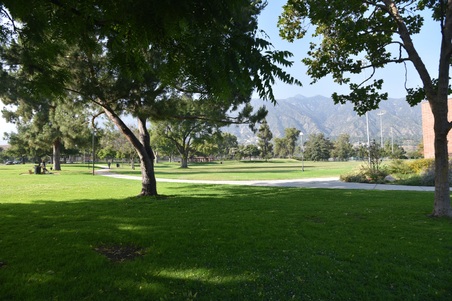 Enlarge photo 44