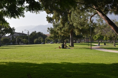 Enlarge photo 47