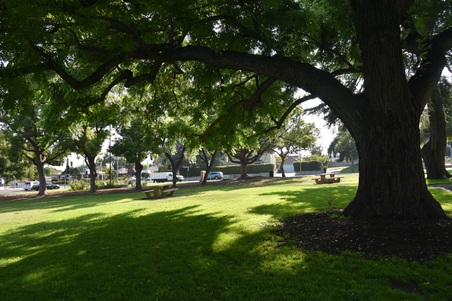 Enlarge photo 46