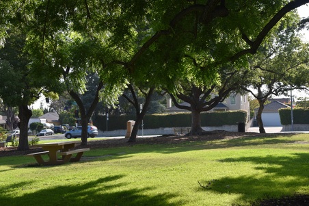 Enlarge photo 49